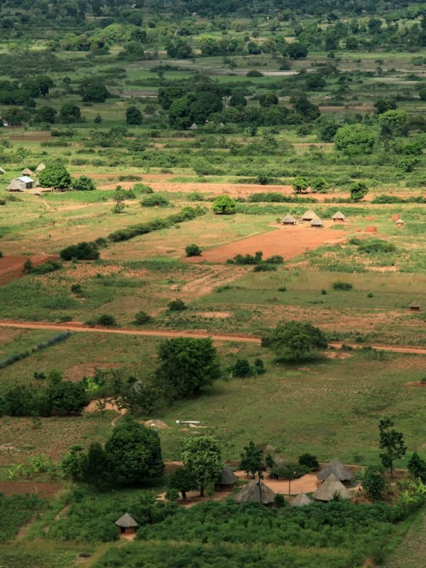 Rural Area - Uganda, Africa